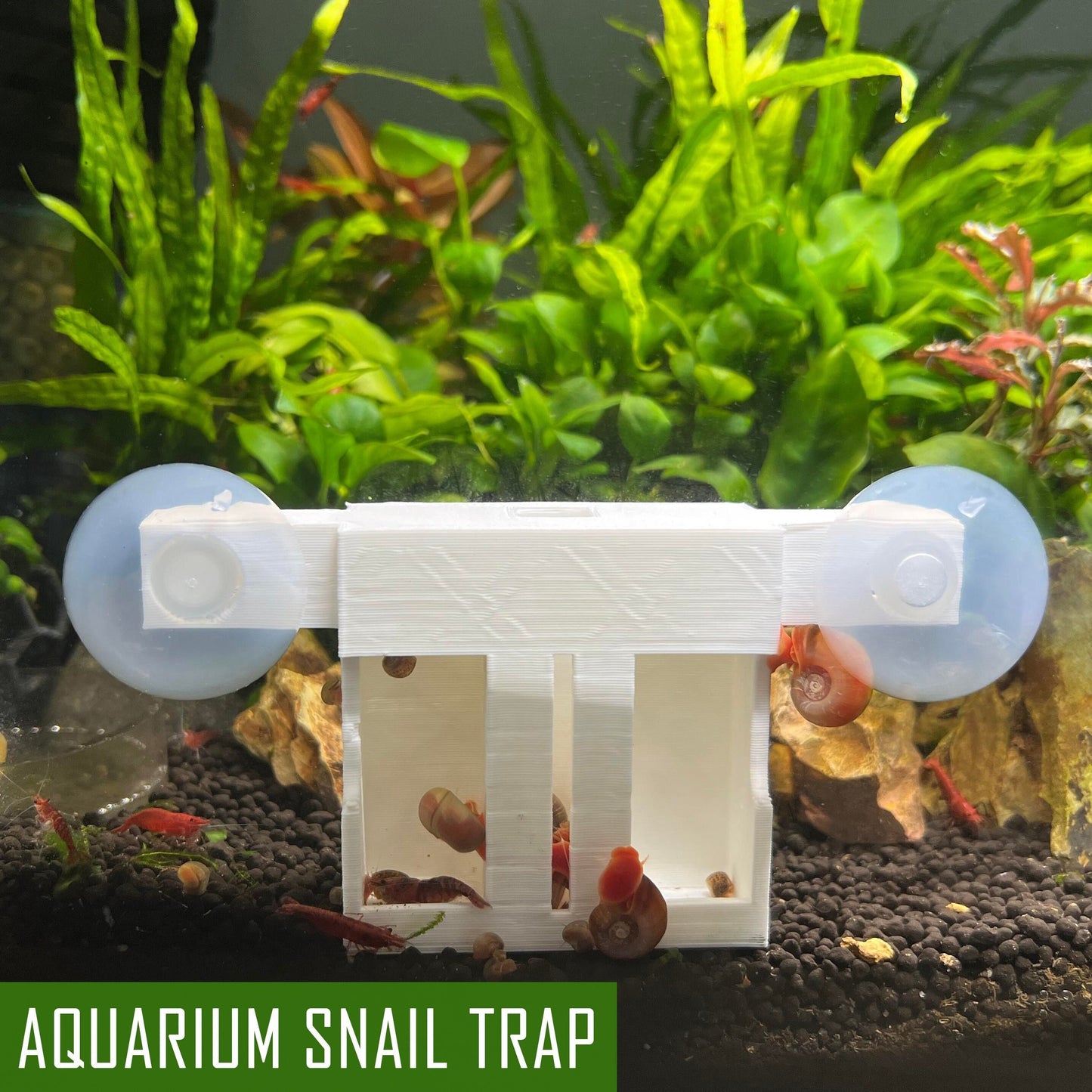 Snail Trap for Aquarium, Pest Snails Catcher Overnight, Leave Trap in Your Tank with Foods To Attract Snail, Easy to Use and Effective