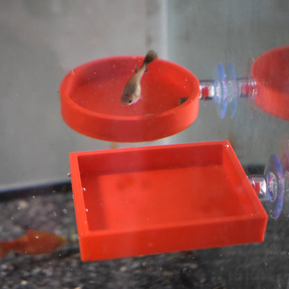 3D Printed Aquarium Feeding Dish - Fish & Shrimp Feeding Tray for Clean and Organized Feeding | Betta, Shrimp, Nano Tank Accessory.