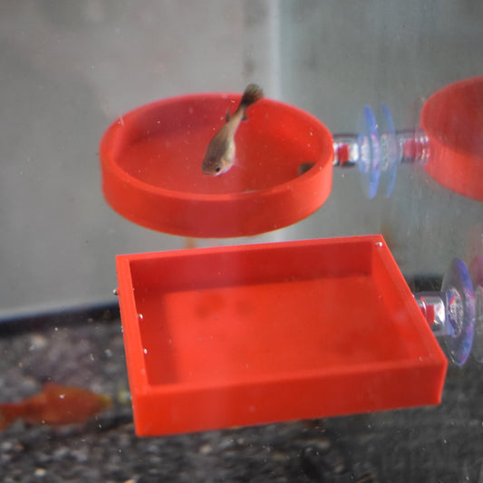 3D Printed Aquarium Feeding Dish - Fish & Shrimp Feeding Tray for Clean and Organized Feeding | Betta, Shrimp, Nano Tank Accessory.
