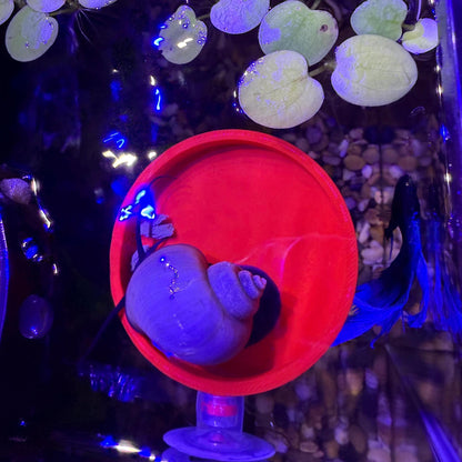 3D Printed Aquarium Feeding Dish - Fish & Shrimp Feeding Tray for Clean and Organized Feeding | Betta, Shrimp, Nano Tank Accessory.