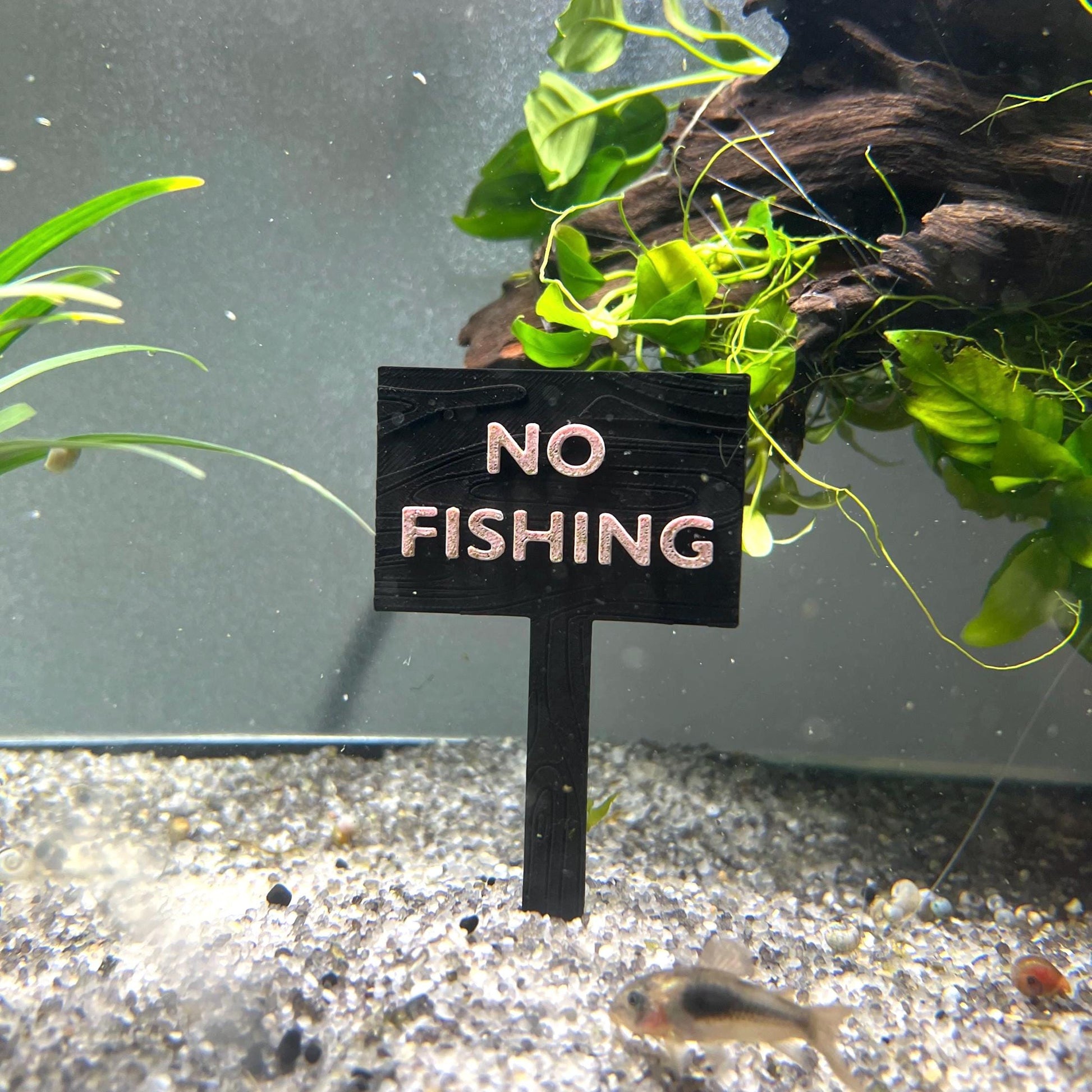 fish tank accessories no fishing Fishing Sign for Aquarium Tank Decor Happy St Patrick Day