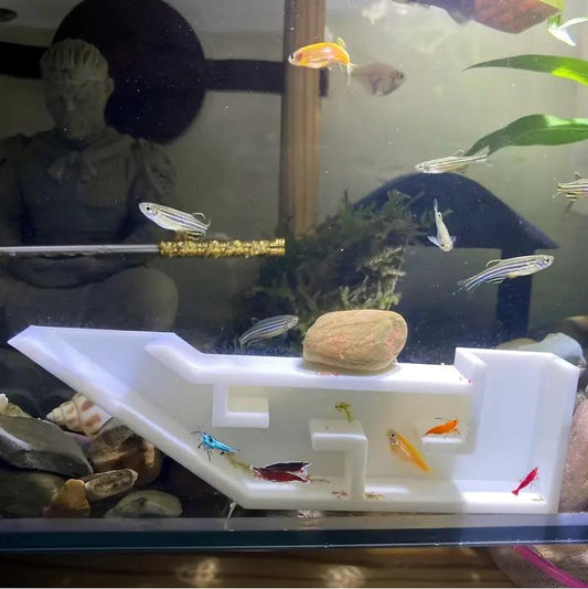 Underground Shrimp Party Tunnel - Complete with an Exquisite VIP Room