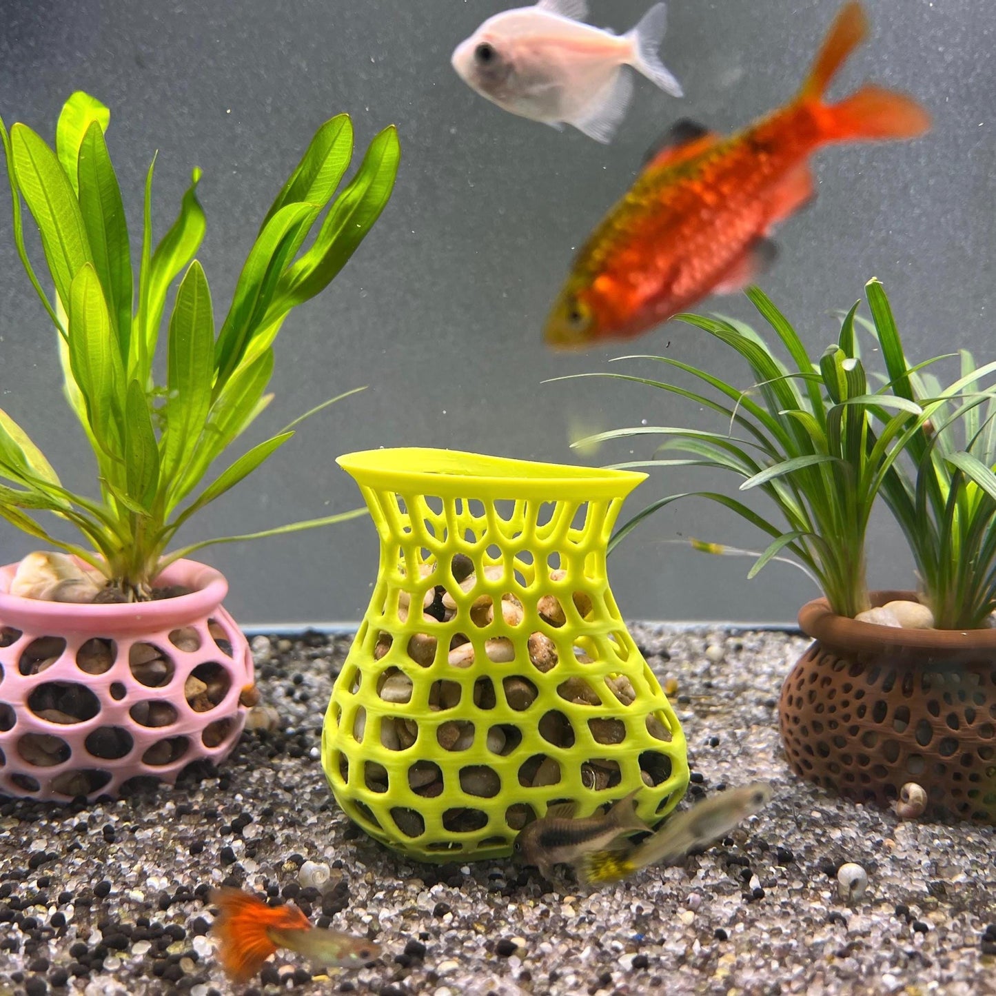 Plant Holder For Aquatic Plants. Aquarium Plant Pot. Promoting Healthy Root Growth. For Fish Tank Aesthetic. Fast Shipping From Canada.