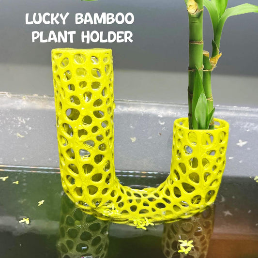 Lucky Bamboo Aquarium Plant Holder