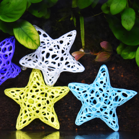 Aquarium Starfish Shrimp Dome Decor. Shrimp Home Hide Out. Starfish Shrimp Dome. Shelter for Shrimps to Hide. Aquarium Safe Plastic.