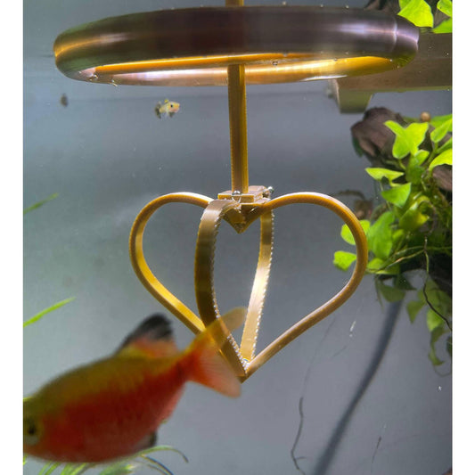Active Floating Betta Ring in Heart Shape