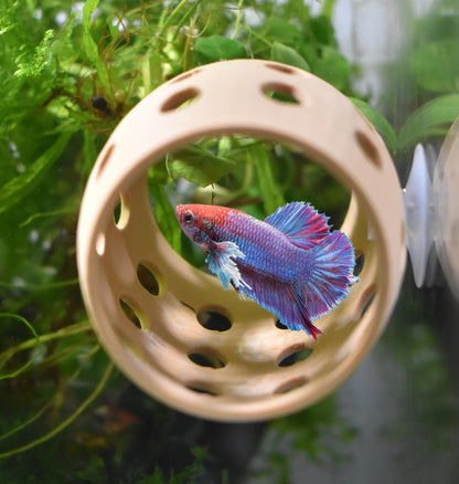 Betta Sleeping & Relaxation Tube. Hideout Tube For Betta to Chill and Sleep. Fun Activities For Your Fish. Betta Hammock. Fish Tank Decor.