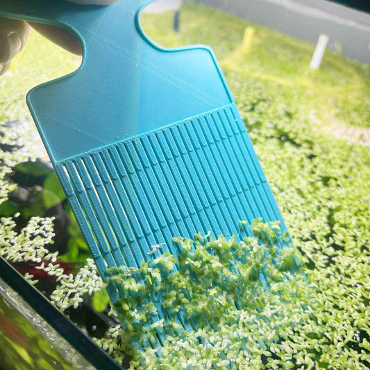 Ergonomic Duckweed Wide Comb