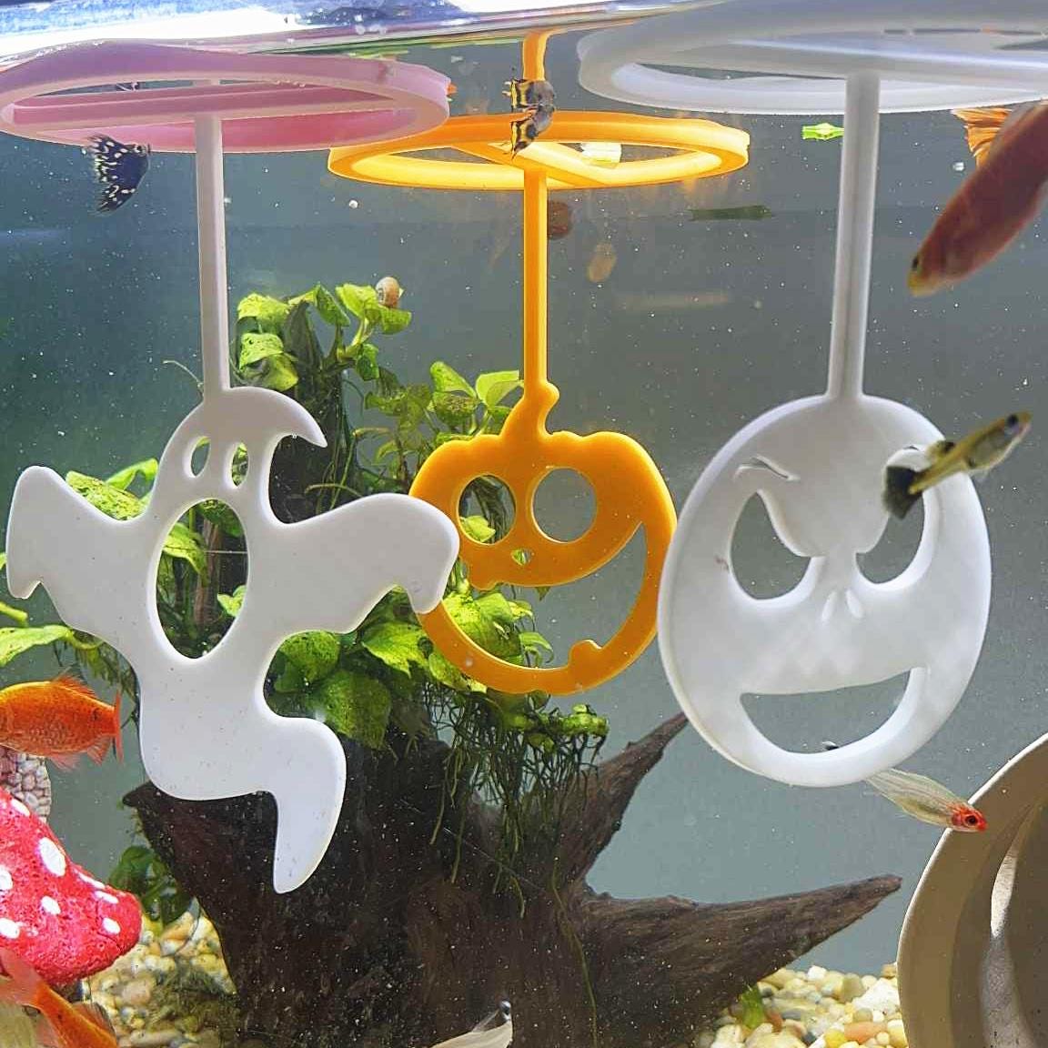 Halloween Floating Ring For Betta Training