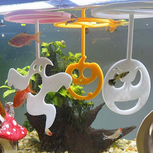 Halloween Floating Ring For Betta Training