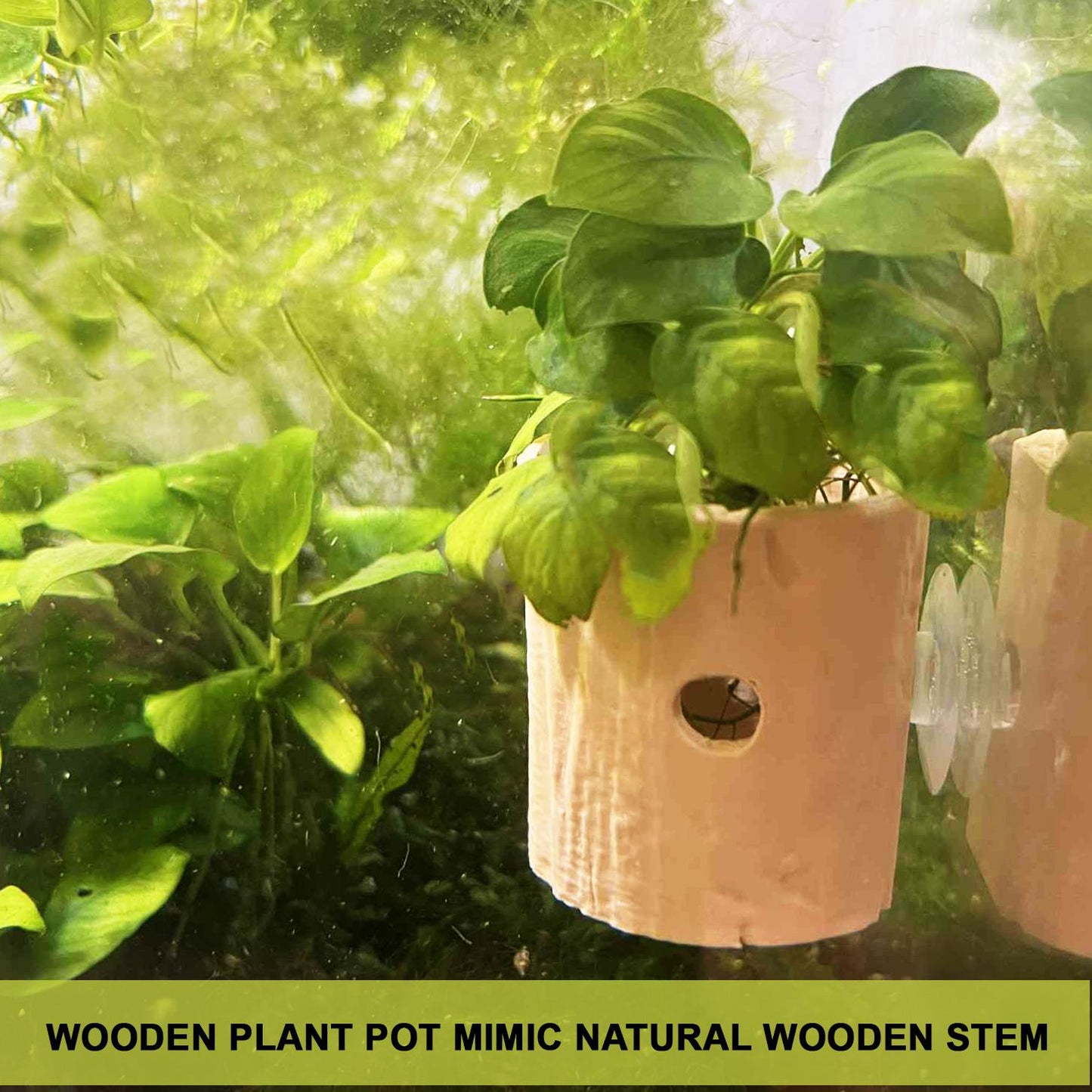 Wooden Style Plant Pot For Aquarium Fish Tank