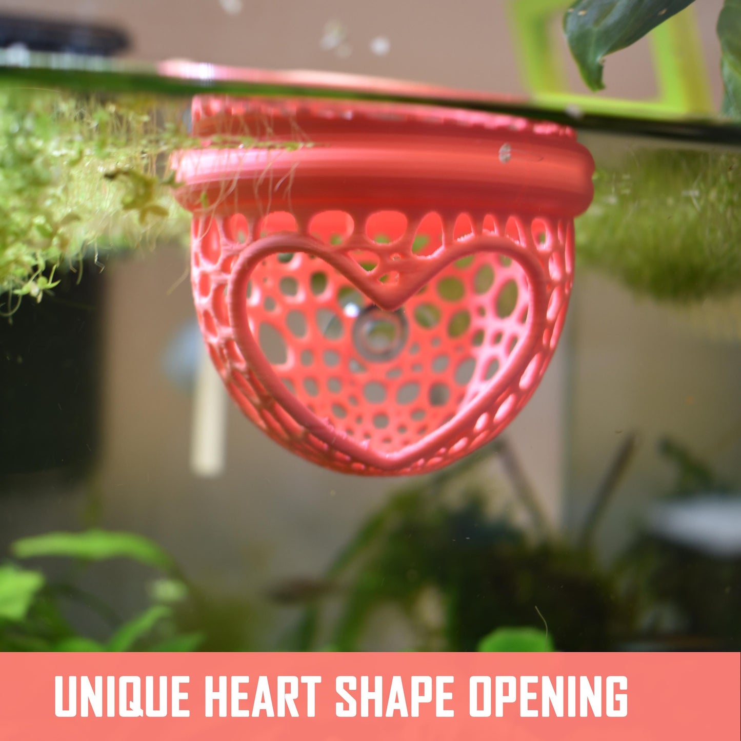 Aquarium Heart Floating Betta Fish Training