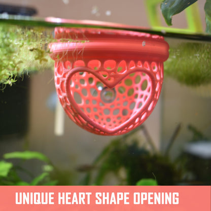 Aquarium Heart Floating Betta Fish Training