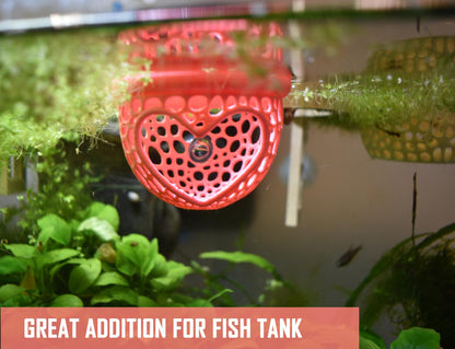 Aquarium Heart Floating Betta Fish Training
