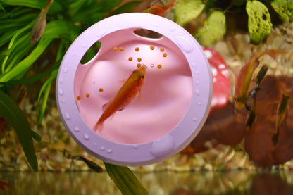 Aquarium Floating Betta Fish Feeder