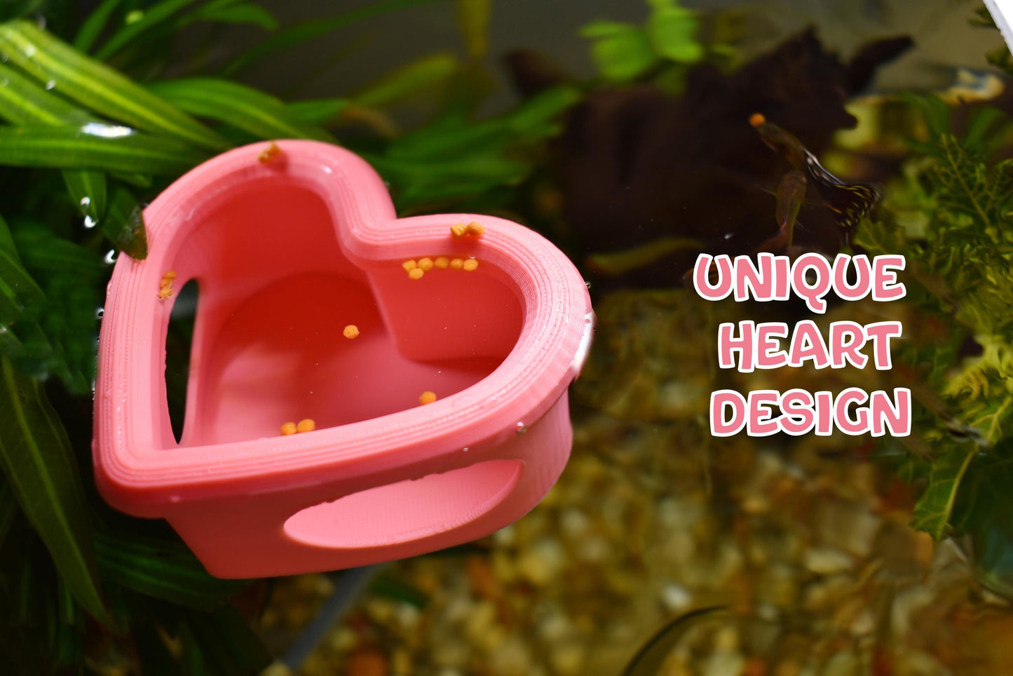 Heart Floating Betta Fish Feeder. Floating Feeder For Small Fish & Shrimp. Food Feeding Control Station. Avoid Food Waste. Perfect Size.