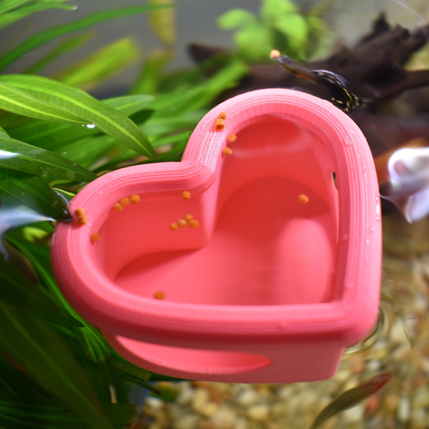 Heart Floating Betta Fish Feeder. Floating Feeder For Small Fish & Shrimp. Food Feeding Control Station. Avoid Food Waste. Perfect Size.