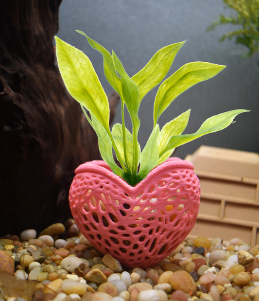 Aquarium Plant Pot Heart Shape