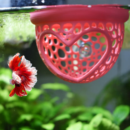 Aquarium Heart Floating Betta Fish Training