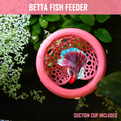 Aquarium Heart Floating Betta Fish Training