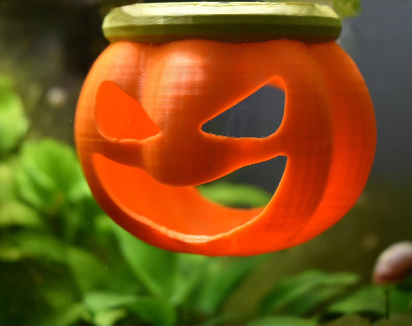 Floating Pumpkin House For Betta to Explore. Betta Hideout House. Floating Pumpkin House, Halloween Decor For Fish Tank. Fun Aquarium Decor.