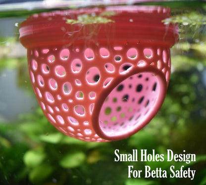 Two-Entrance Floating Betta Tunnel