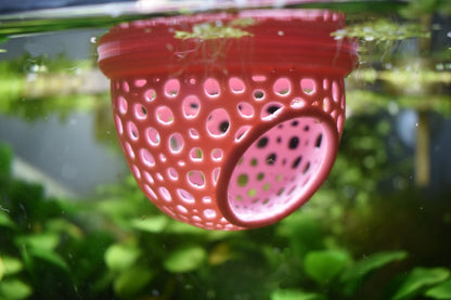 Aquarium Floating Betta Fish Training