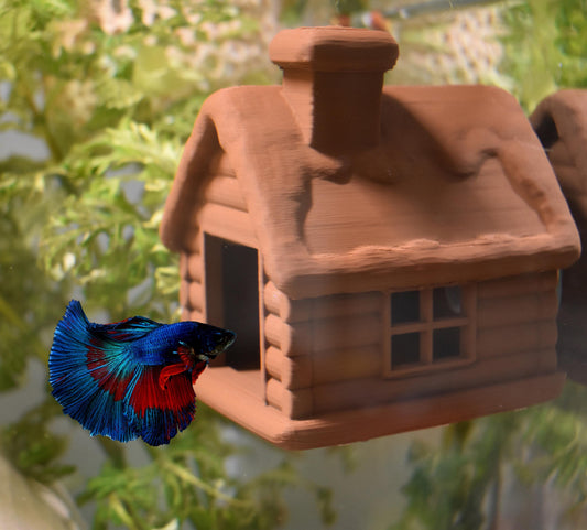 Aquarium Cozy Betta Cabin