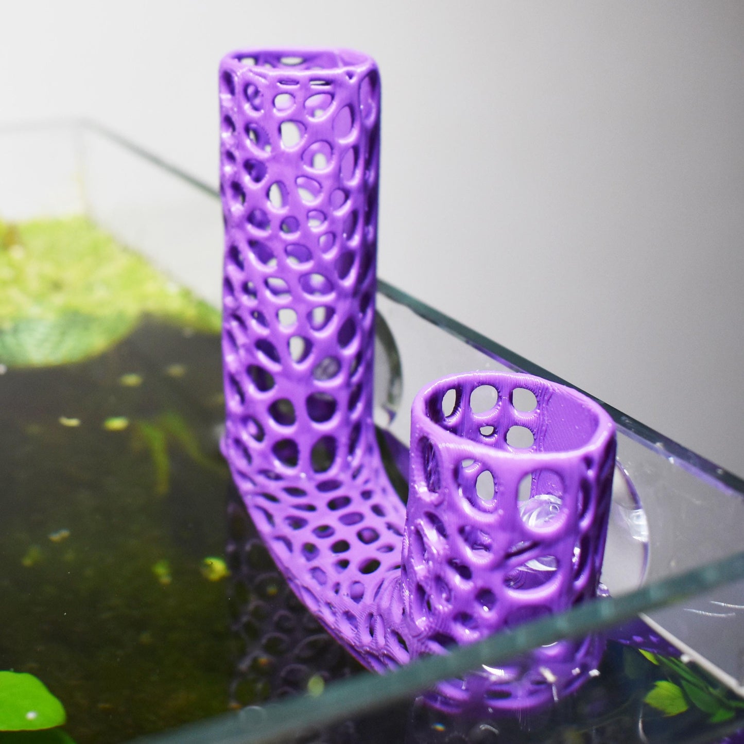 Aquarium Plant Holder. Aquatic Plant Pot For Lucky Bamboo, Pothos. Unique Designed Holder For Aquatic Plants. Promoting Healthy Root Growth.