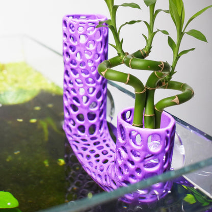 Aquarium Plant Holder. Aquatic Plant Pot For Lucky Bamboo, Pothos. Unique Designed Holder For Aquatic Plants. Promoting Healthy Root Growth.