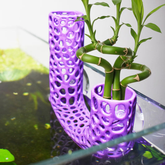 Aquarium Lucky Bamboo Plant Holder