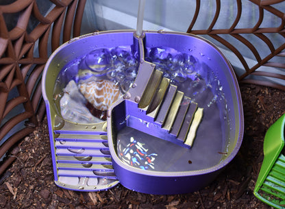 Unique Hermit Crab Swimming Pool. Soaking Bathtub For Hermit Crab. Dual-Zone Pool For Fresh & Salt Water with Built-in Climbing Ramp.