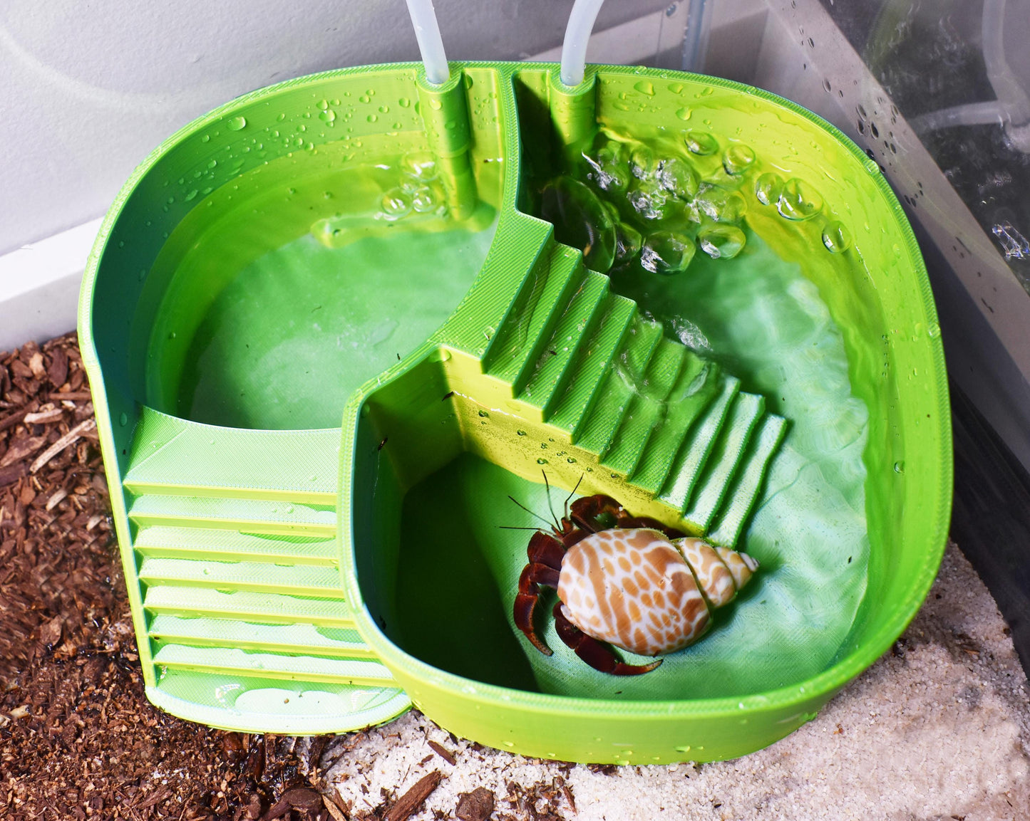 Hermit Crab Bubbler Pool. Separated Fresh & Salt Water Soaking with Built-In Bubbler. Dual-Zone Hermit Crab Bathtub. Easy Climbing Ramp.