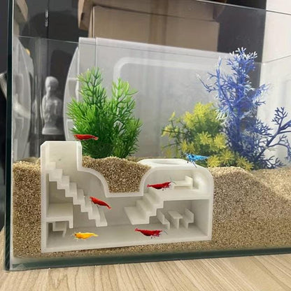 Aquarium Shrimp Rental Studio. Large Shrimp Studio For Rent. All-Inclusive Facility. Luxury & Cozy Shrimp Studio. Fast Shipping From Canada.