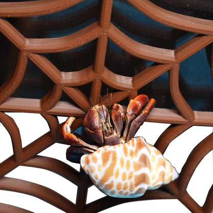 Hermit Crab Spider-Web Climbing Platform. Hermit Crab Climbing Spider Web. Fun Toy For Natural Habitat Mimics. Durable & Sturdy Design.