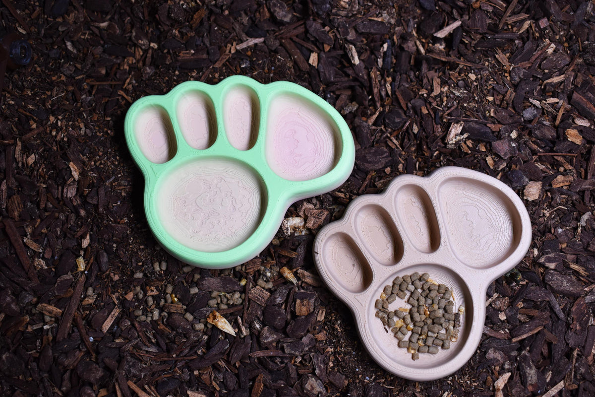 Hermit Crab Footprint Feeding Dish
