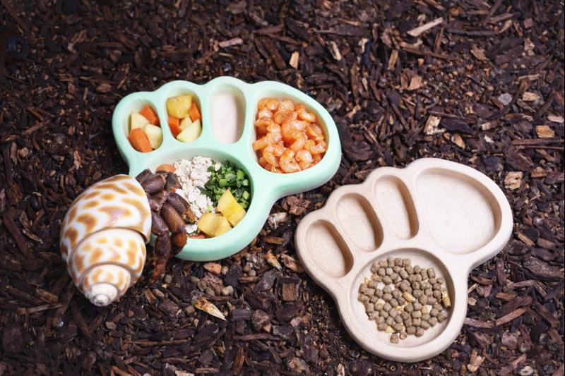 Hermit Crab Footprint Feeding Dish