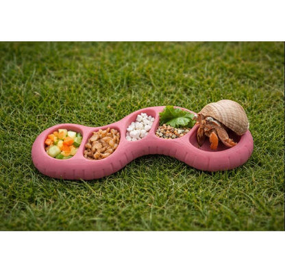 Hermit Crab 5-Slot Earth Worm Feeding Dish