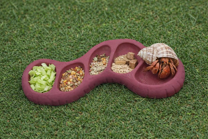 Hermit Crab 5-Slot Earth Worm Feeding Dish