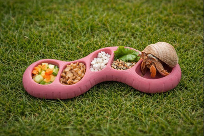Hermit Crab 5-Slot Earth Worm Feeding Dish