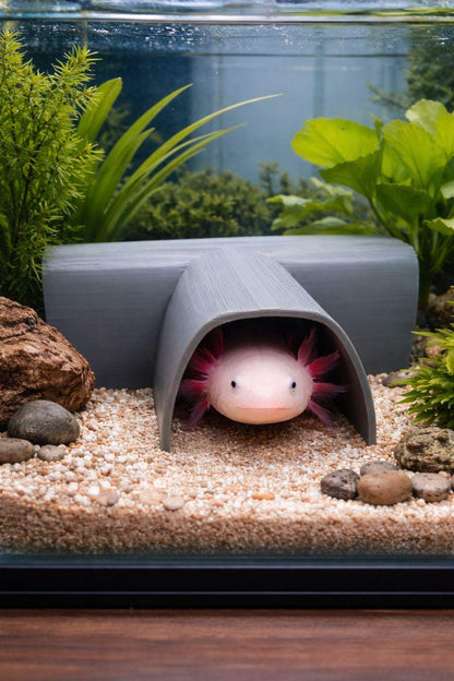 3D-Printed T-Shaped Tunnel For Axolotl and Pleco