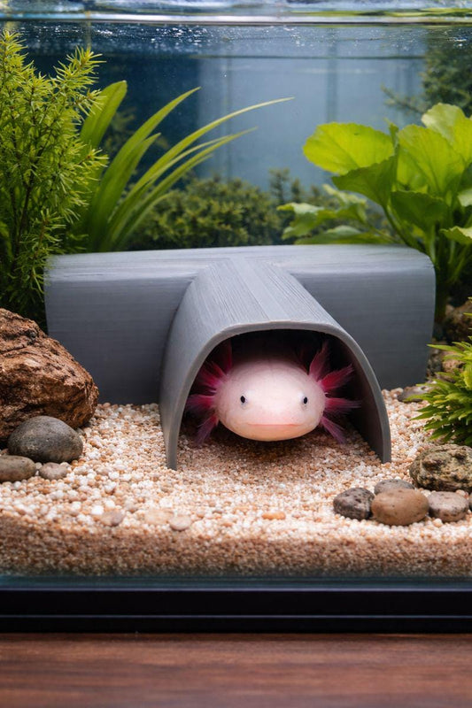 3D-Printed T-Shaped Tunnel For Axolotl and Pleco, 6 & 8 Inch. Aquarium Decor, Axolotl Hiding Cave, Establish Territory and Reduce Stress.