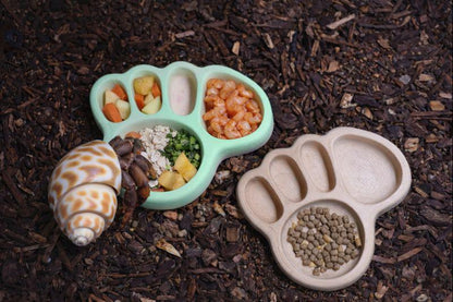 Hermit Crab Footprint Feeding Dish