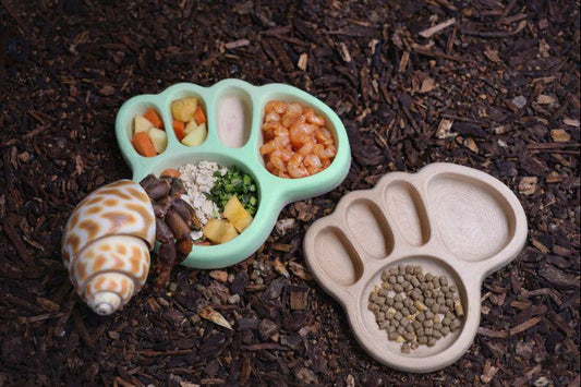 Hermit Crab Footprint Feeding Dish