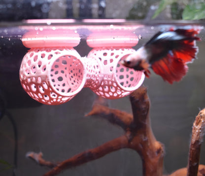 Floating Betta Double Tunnel