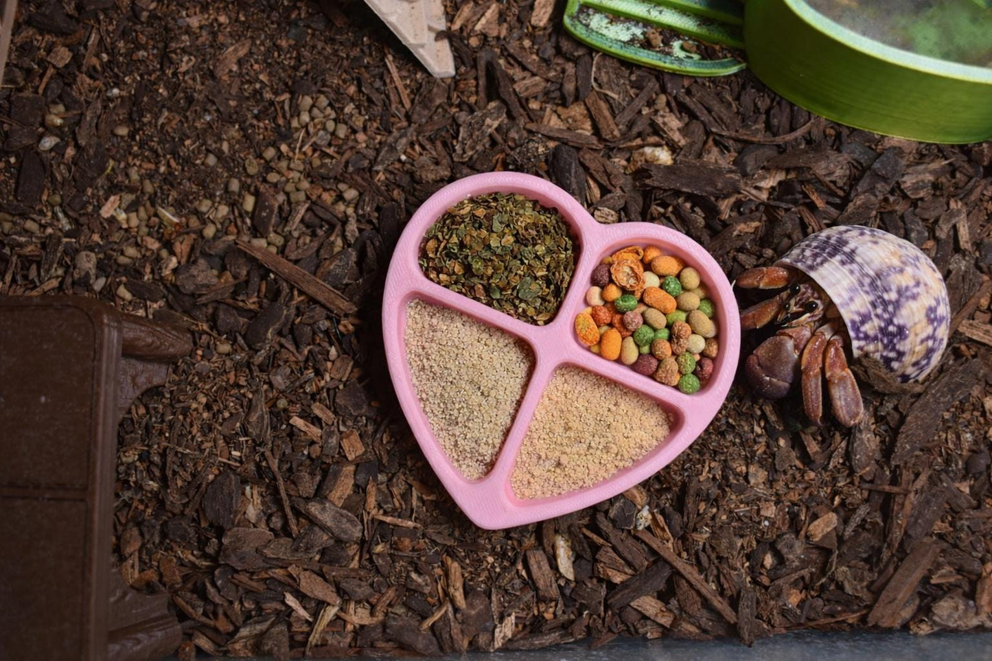 Hermit Crab Feeding Dish in Heart Shape - 4-Slot Earthworm Food Tray