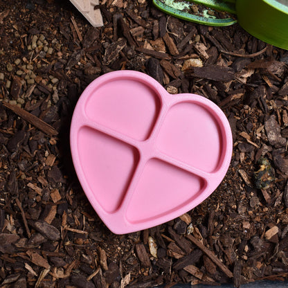 Hermit Crab Feeding Dish in Heart Shape - 4-Slot Earthworm Food Tray