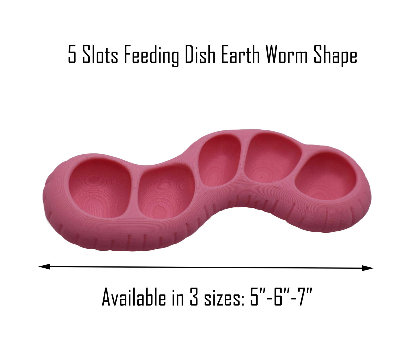 Hermit Crab 5-Slot Earth Worm Feeding Dish
