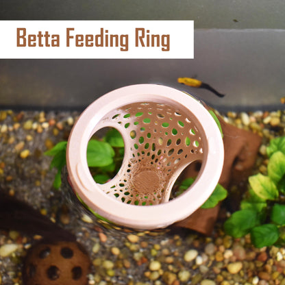 Two-Entrance Floating Betta Tunnel