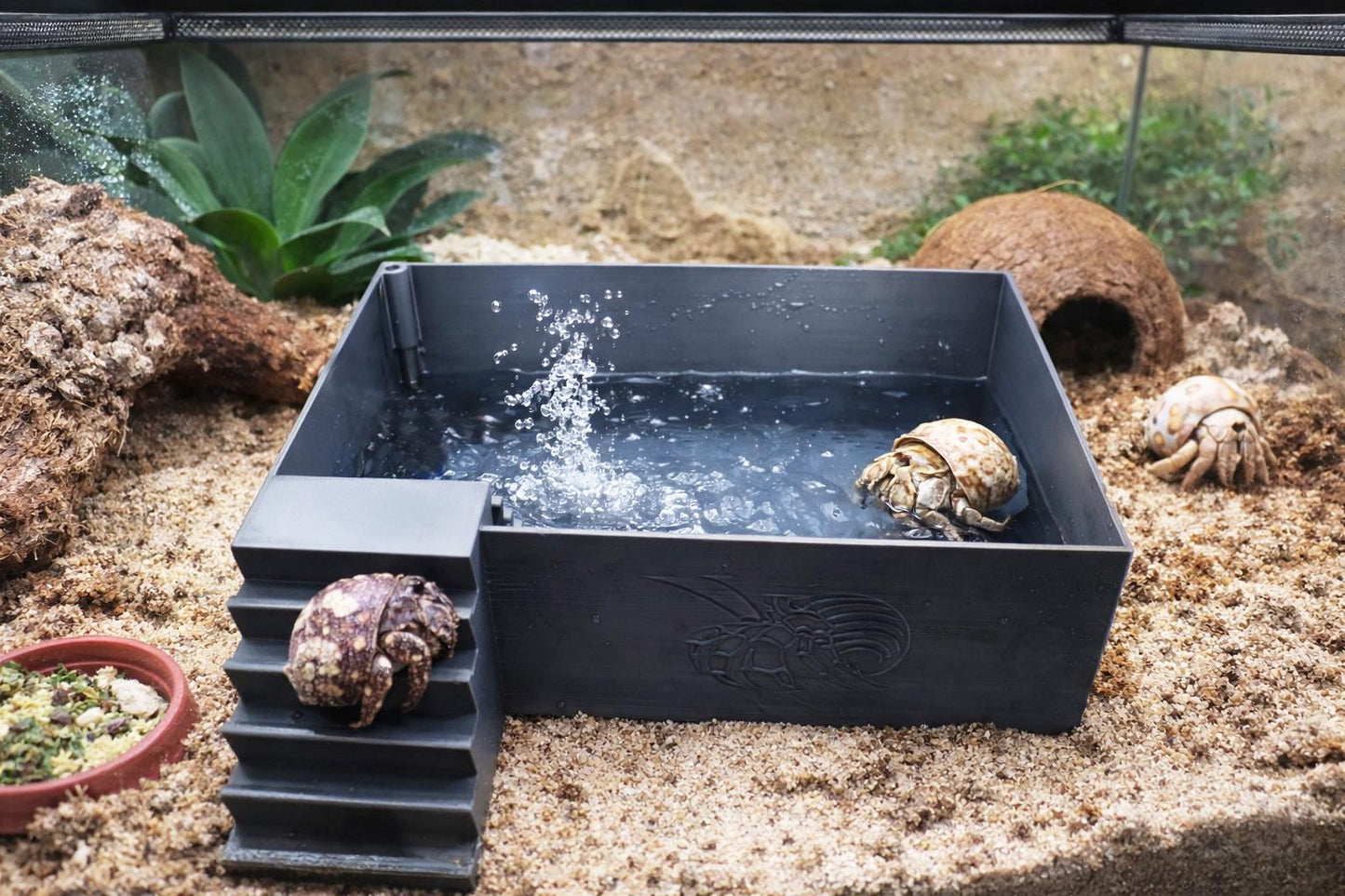 Large Hermit Crab Bubbler Pool